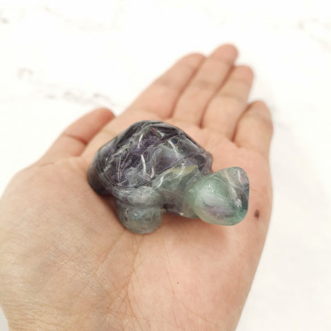 Turtle Gemstone 5cm-Fluorite