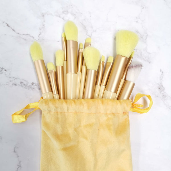 13pc Make Up Brush