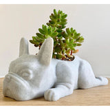 Mini Dog Resin Plant Pot