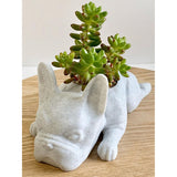 Mini Dog Resin Plant Pot