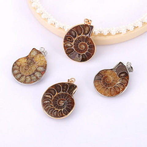 Ammonite Fossil Gemstone Seashell Shape Pendant With Necklace