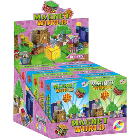 12pc Magnet World Blind Box with Display Box