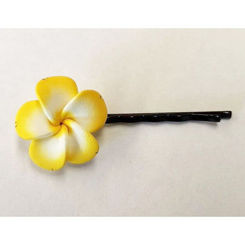Hair clips